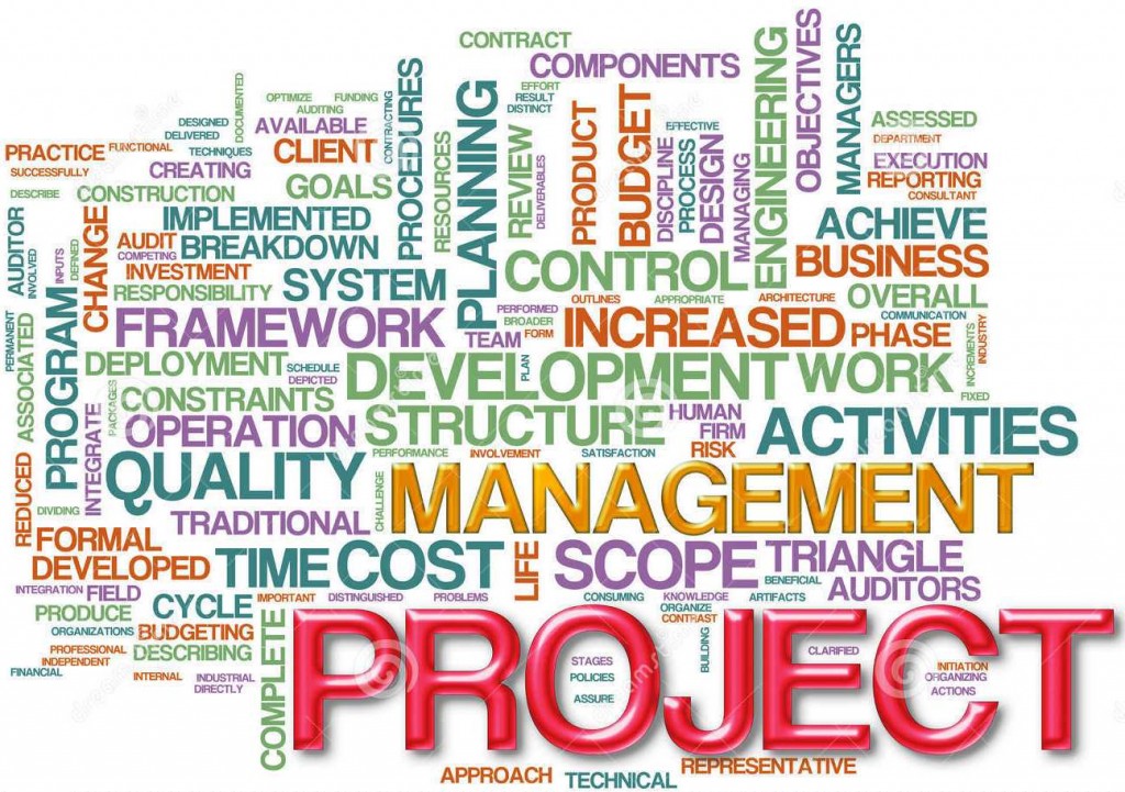 Project Management